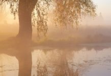 Unbehandelte Depressionen
